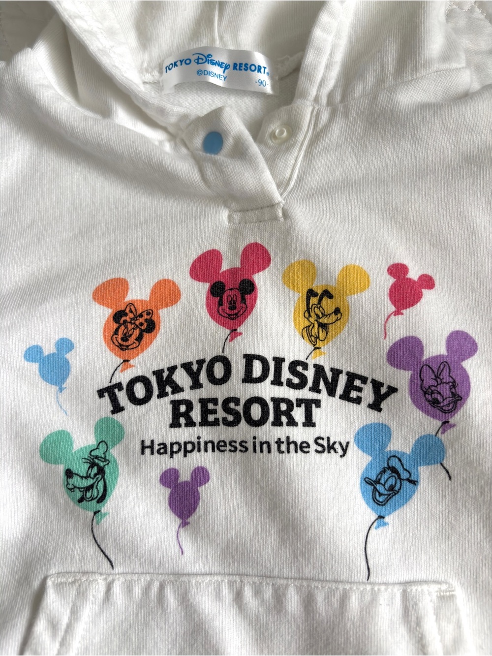 Tokyo Disney Resort Toddler Hoodie Sweatshirt Mickey and Friends Size 90cm / US